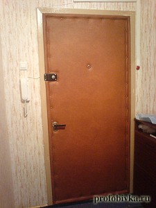 фотография обитой двери